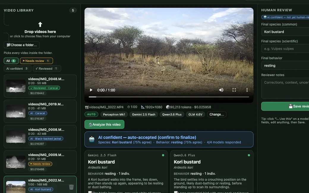 AI for Wildlife screenshot