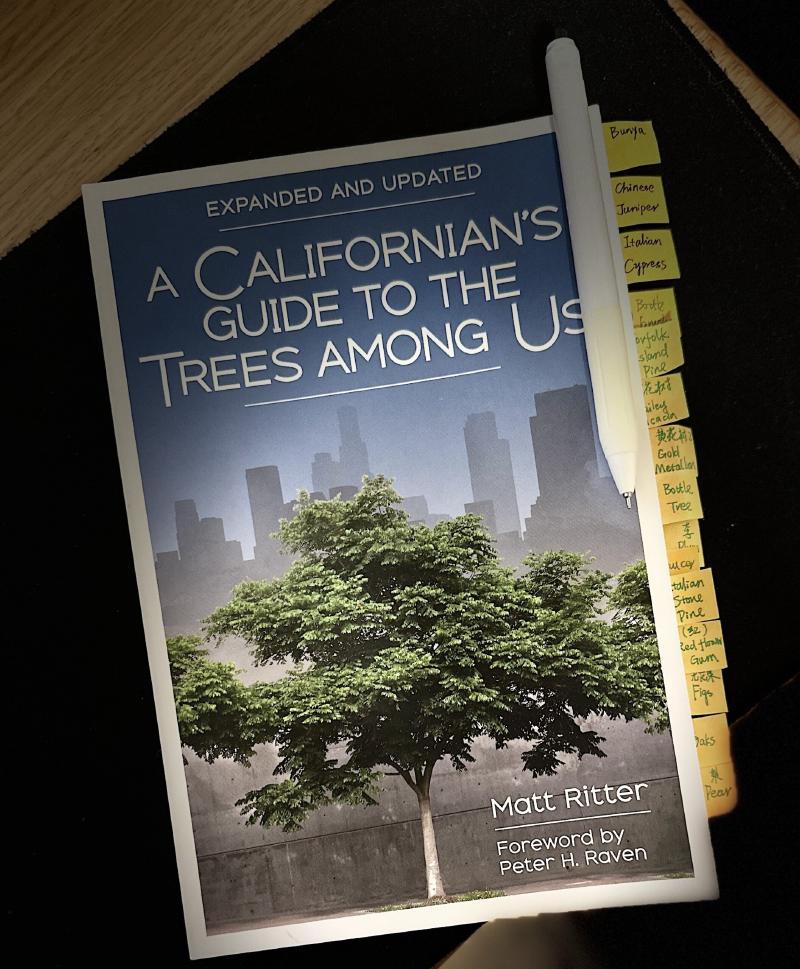 Trees Among Us book