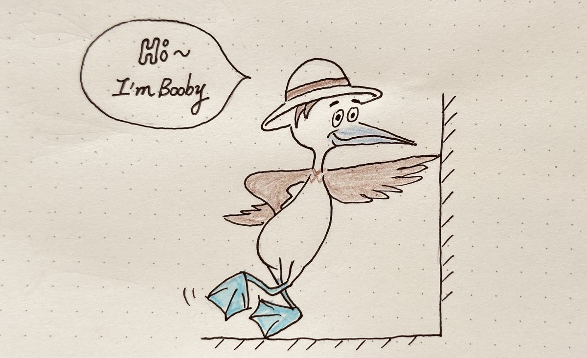 Meet Mr. Booby